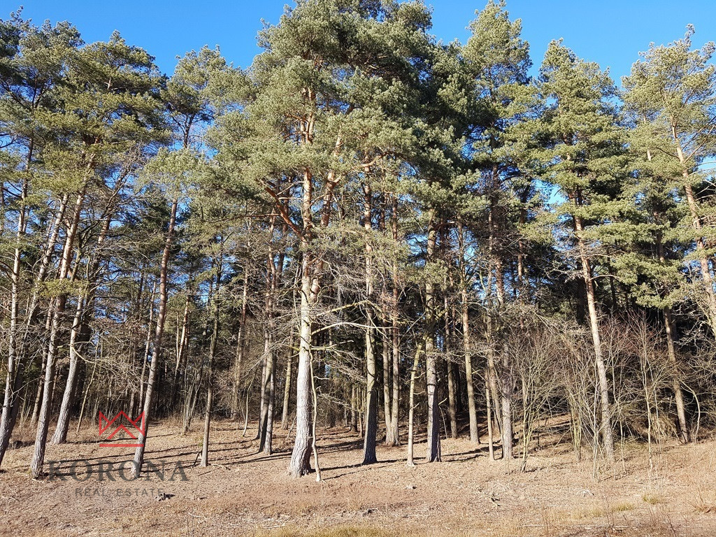 Działka Sprzedaż Osowicze 4