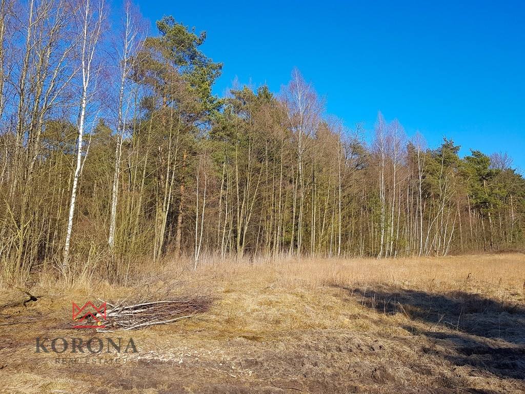 Działka Sprzedaż Osowicze 8