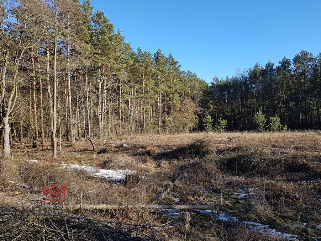 Działka Sprzedaż Osowicze 3