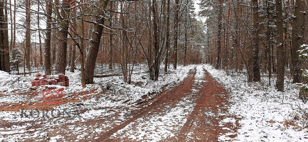 Działka Sprzedaż Pasynki 5