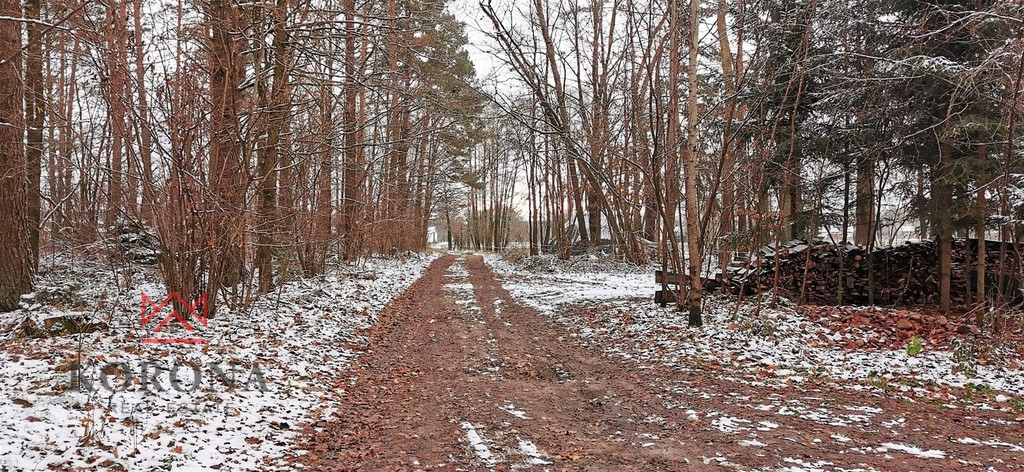 Działka Sprzedaż Pasynki 6