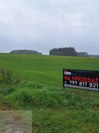 Plot Sale Jałówka