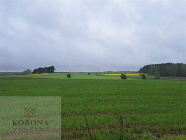 Plot Sale Jałówka