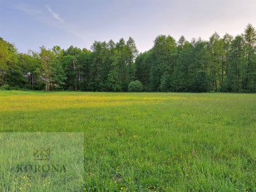 Plot Sale Rybczyzna