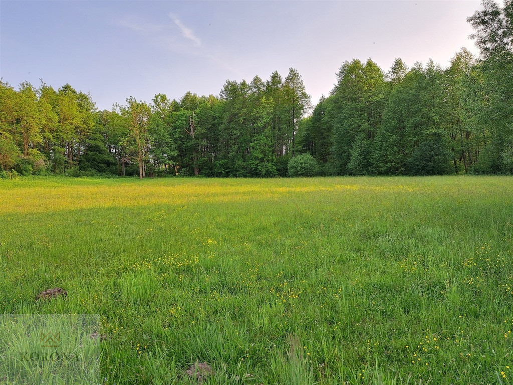 Plot Sale Rybczyzna