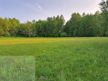 Plot Sale Rybczyzna