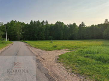 Plot Sale Rybczyzna