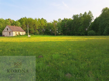 Plot Sale Rybczyzna