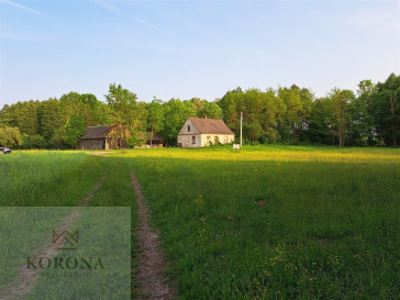 Plot Sale Rybczyzna