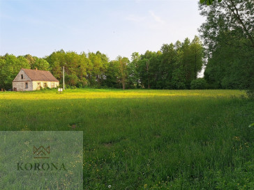 Plot Sale Rybczyzna