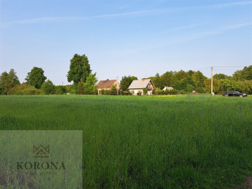 Plot Sale Rybczyzna