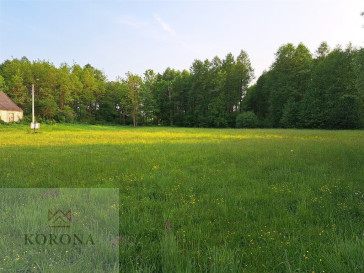 Plot Sale Rybczyzna