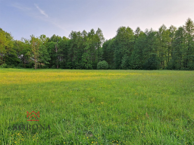 Działka Sprzedaż Rybczyzna 12