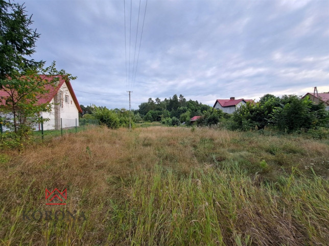 Działka Sprzedaż Rożyńsk Wielki 2